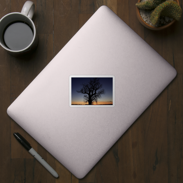 Kansas colorful Sunset with a Tree Silhouette out in the country by ROBERTDBROZEK